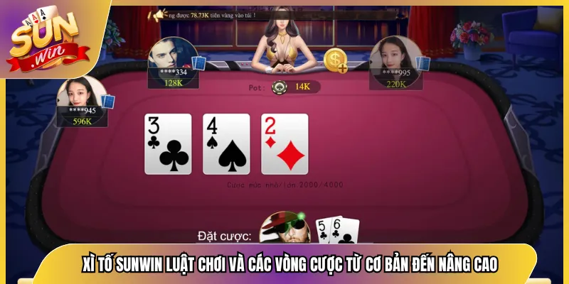 Xì Tố Sunwin Luật Chơi Và Các Vòng Cược Từ Cơ Bản Đến Nâng Cao